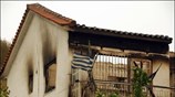 Στους 64 ανήλθε ο αριθμός των νεκρών από τις πυρκαγιές που μαστίζουν ...