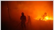 Πορτογαλία: 700 χιλιάδες στρέμματα δασικής έκτασης στις φλόγες