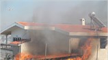 Mεγάλη δασική πυρκαγιά στην Κερατέα