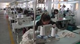 Ενθαρρυντικές οι εξαγωγές στην Κίνα