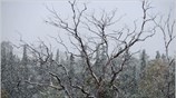 Χιόνια στην Αττική