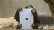 Πίθηκοι με iPad σε ζωολογικό κήπο