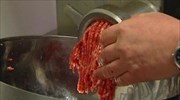 Κρέας αλόγου εντοπίστηκε σε λαζάνια στη Γερμανία