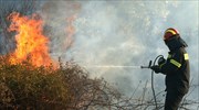 Κρήτη: Πυρκαγιά σε τρία μέτωπα στο χωριό Μάραθος