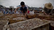 Η Κίνα πιάνει 12 φορές περισσότερα ψάρια απ’ όσα δηλώνει;