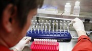 DNA αλόγου σε κρέας Ρουμανίας που είχε κατασχεθεί