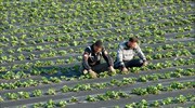 Έλεγχοι της οικονομικής αστυνομίας στη Μανωλάδα Ηλείας