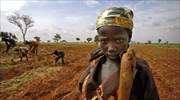 «Καμπανάκι» ΟΗΕ για υποβάθμιση της γης λόγω ερημοποίησης