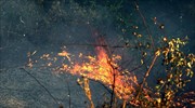 Ηράκλειο: Πυρκαγιά σε αγροτική περιοχή