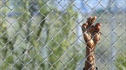 Διεθνής Αμνηστία: Παραβιάσεις δικαιωμάτων εκατομμυρίων προσφύγων και μεταναστών
