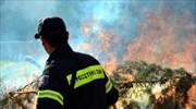 Πυρκαγιές σε Χανιά, Κυπαρισσία και Αρεόπολη