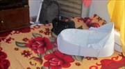 Θεσσαλονίκη: Εξάρθρωση κυκλώματος αγοραπωλησίας βρεφών
