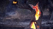 Κρήτη: Κοντά σε σπίτια η πυρκαγιά στα Σταυράκια
