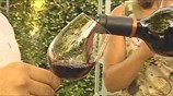Γεύσεις, αρώματα και συμφωνίες εκατομμυρίων στη Vinexpo