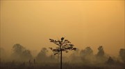 Ινδονησία: Προεδρική συγγνώμη για την αιθαλομίχλη