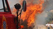 Ελασσόνα: Πυρκαγιά περιμετρικά αποθήκης πυρομαχικών