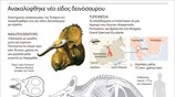 Ανακαλύφθηκε νέο είδος δεινόσαυρου