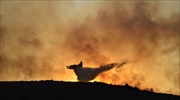 Σάμος: Υπό μερικό έλεγχο η πυρκαγιά στη Ζωοδόχο Πηγή