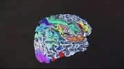 Ο ανθρώπινος εγκέφαλος σε μορφή 3D
