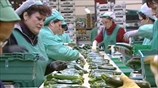 Ισπανία: Σημάδια ανάκαμψης μετά από 2 χρόνια ύφεση