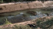 Ηλεία: Ομολόγησε ο 13χρονος - Κίνητρό του η ζήλια