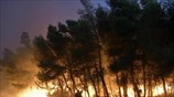 To Reuters για τη φωτιά στη Βαρυμπόμπη