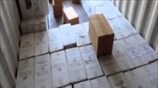 ΕΛΑΣ: Εξάρθρωση κυκλώματος διακίνησης λαθραίων τσιγάρων στη Θεσσαλία