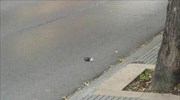 Θεσσαλονίκη: Χειροβομβίδα εντοπίστηκε στο οδόστρωμα