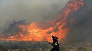 Υπό μερικό έλεγχο η πυρκαγιά στην Κάρυστο