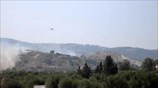 Πυρκαγιά στην Κεφαλονιά