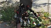 Και άλλες μολότοφ εντοπίστηκαν στην περιοχή του ΑΠΘ
