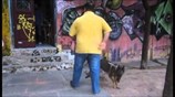 ΕΛΑΣ: Αστυνομική επιχείρηση εντός του Πολυτεχνείου