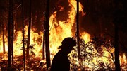 Μαίνονται οι πυρκαγιές στην Πορτογαλία