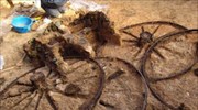 Αρχαιολόγοι ανακάλυψαν θρακική άμαξα 2.500 ετών