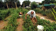 Ξεκινά η λειτουργία του Ταμείου Αγροτικής Επιχειρηματικότητας