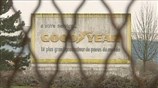 Επιστροφή Τέιλορ στη Goodyear