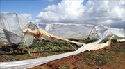 Μεσσηνία: Ζημιές σε θερμοκήπια από την κακοκαιρία