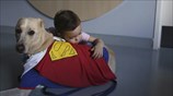 Οι φωτογραφίες της ημέρας