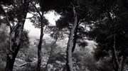 Ασθενής χιονόπτωση στη Φλώρινα