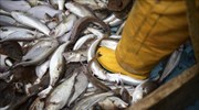 Κομισιόν: Εμπορικά μέτρα κατά της παράνομης αλιείας