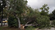 Διακοπή κυκλοφορίας σε δρόμους της Αττικής λόγω πτώσης δέντρων