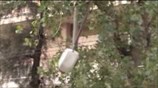 ΑΠΕ-ΜΠΕ: Προβλήματα στην Αττική από τους θυελλώδεις ανέμους