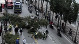 Πτώση δένδρου στην οδό Σταδίου