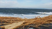 Εκατό τόνοι επεξεργασμένης ξυλείας ξεβράστηκαν στις ακτές τις Μυτιλήνης
