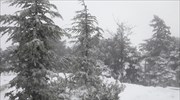 Προβλήματα λόγω χιονόπτωσης στην Αχαΐα – Καταγραφή ζημιών στο Άργος