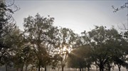 Παγωνιά και σήμερα στη βόρεια Ελλάδα