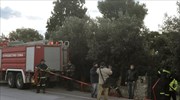 Πυρκαγιά στο εξοχικό του Κ. Σημίτη στους Αγ. Θεοδώρους