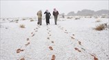 Κύμα κακοκαιρίας στη Μέση Ανατολή