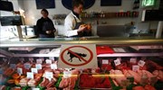 Γαλλία: Ευρεία επιχείρηση της αστυνομίας για νέα υπόθεση με κρέας αλόγου