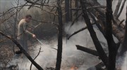 Λάρισα: Ένας νεκρός από πυρκαγιά σε αγροτική περιοχή